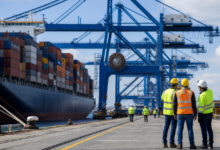 Calabria, Porto di Gioia Tauro: investimento MCT e prospettive per 200 assunzioni